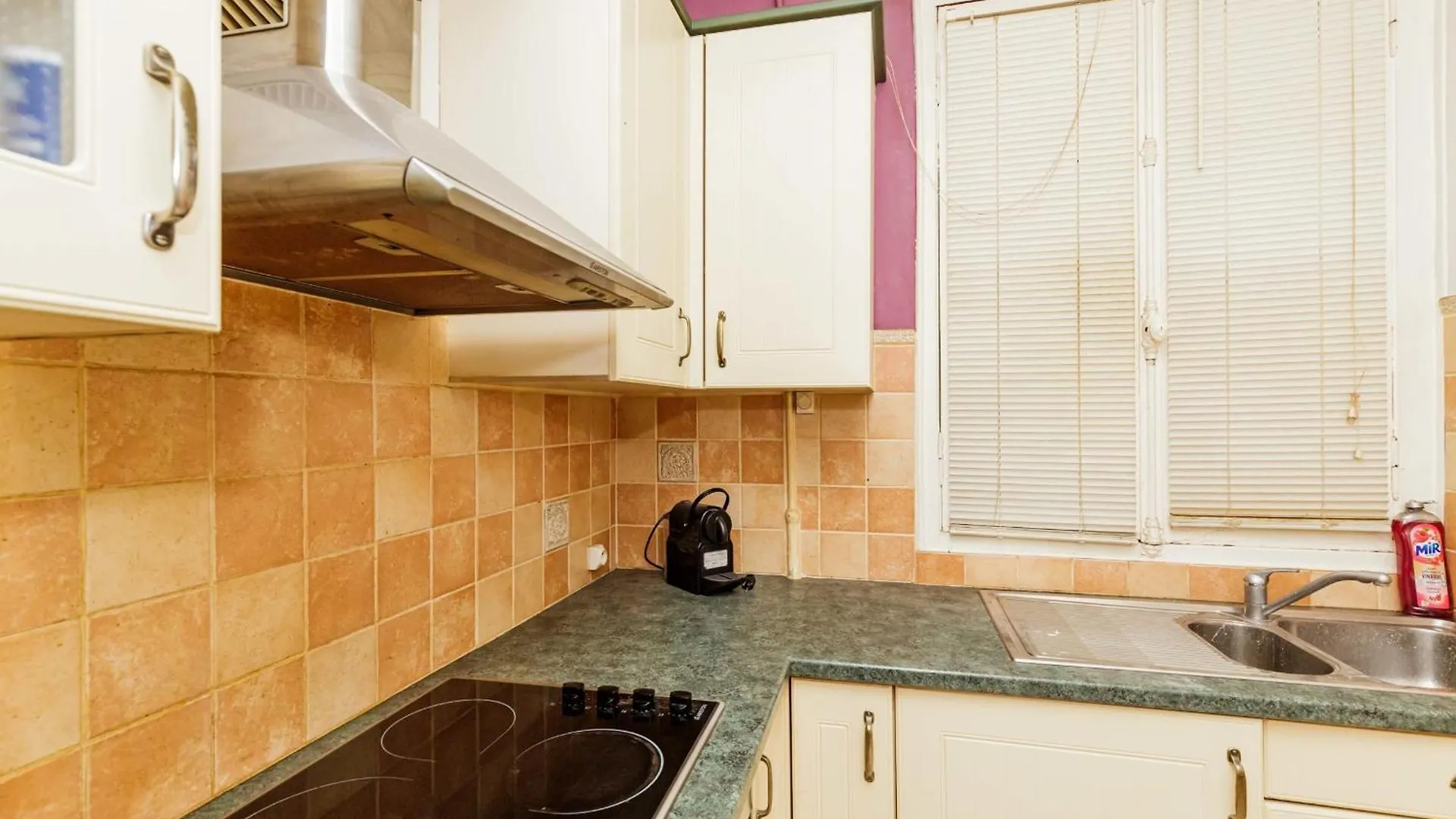 Spacious Apartment In 11Eme Paris